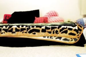 Incredibly slutty legal age teenager in knee socks likes masturbating on web camera