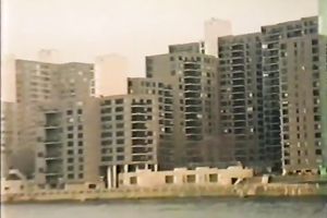 Sandy haired whorish lassie enjoys ravishing blowjob in flying 69 pose