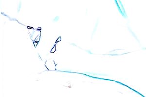 Chunky large breasted dilettante hooker was jerking off my ally properly