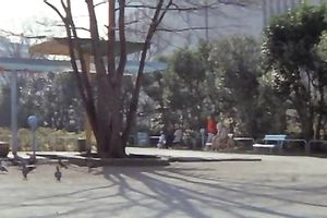 Japanese honey loved to receive her muff gangbanged hard