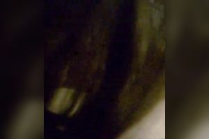 A ally of mine Erin shared a movie scene of herself engulfing meaty 10-Pounder in POV