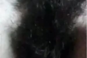 Pretty dark brown hottie with merry bumpers flashes her hairy love tunnel on livecam