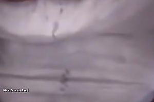 Incredible dark brown honey is glad to handle massive inflexible penis