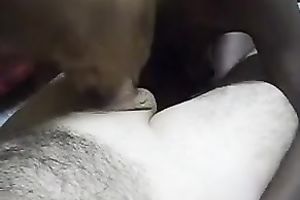 Slender and voracious swarthy playgirl of mine gives me a great blow job