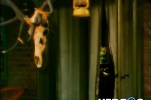 Lean and beautiful European hotties love priceless times and sex