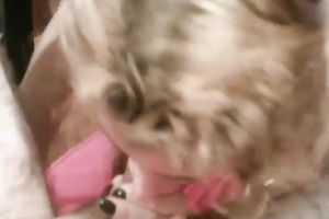 Light haired wrinkled aged hooker sucked my friend's beefy large penis