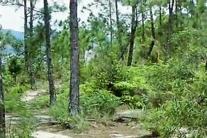 Lesbian chinese hotties pleasing every other during the time that taking baths