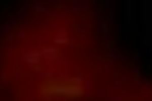 My chunky Arab white bitch sucks my shlong and I push her hard