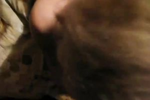 Cock longing blond housewife is treated on POV homemade movie