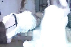 My aged bulky wife gives me oral pleasure to acquire rug munch