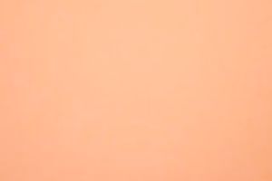 The lovely plump ladies are hungry for a large bulky shlong