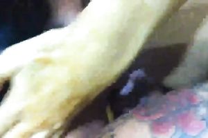 We take up with the tongue every other's captivating snatches like there is no tomorrow