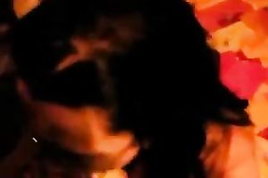 Cute black haired nerdy nympho jacks off and sucks buddy's prick