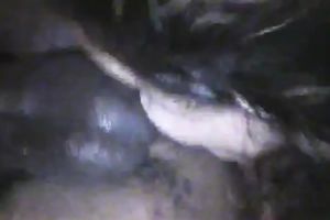 Torrid bushy haired Brazilian girlfriend rims my gazoo and sucks my BBC