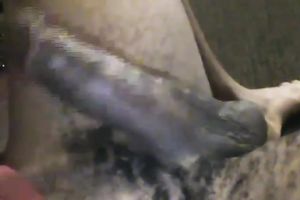 Torrid bushy haired Brazilian girlfriend rims my gazoo and sucks my BBC