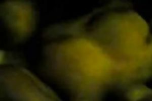 Young and breasty Asian hooker blows me well at the end