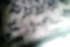 Lucky stud hooks up with a hawt dark skin Indian hottie