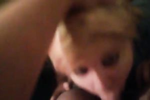 Auburn cute cum hungry cheating wife sucked my friend's lollicock with joy