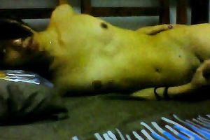 Just a slender Asian dark brown doxy on webcam masturbating