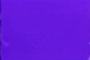 Horny and sexy wench with nice shape receives her bazookas licked