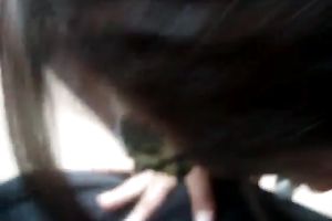 Dark haired hooker in sunglasses sucked my buddy's ramrod properly