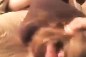 Brunette chick engulfing large jock balls unfathomable in arousing POV movie