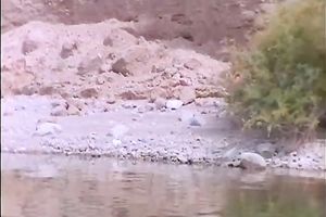 Horny bootyful breasty swarthy sweetheart acquires white jock deeply