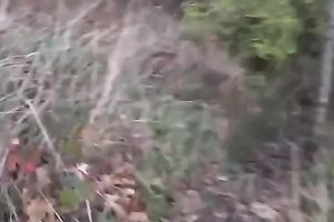 Slutty brunette hair blows my cock outdoor and then I fuck her from behind