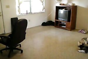 Dope a-hole shaking show performed by priceless light haired webcam beauty