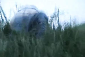 Spying on my ally outdoors having sex with his girlfriend