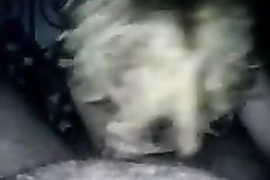 Shiny hirsute haired golden-haired Scottish college doxy sucks my rod