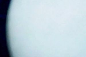 Skanky big beautiful woman tenant gives me sloppy oral pleasure engulfing my dark rod