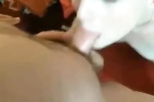 Punk pale doxy with petite love muffins provides her BF with a great oral job