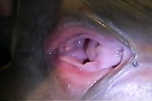 Magnificent seductress shows off her trickling juicy love tunnel