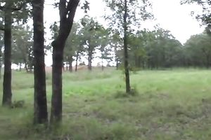 Playful svelte all natural shaggy haired natural cutie stripped herself