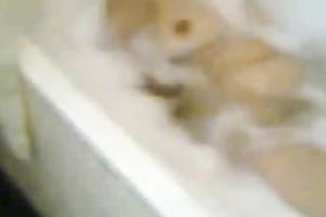 Slutty non-professional all exposed dark brown is caught taking soapy washroom