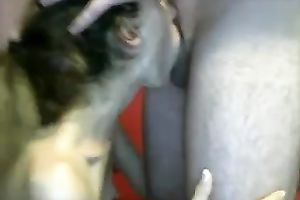 My pretty dark brown horny white wife with small mangos engulfing weenie