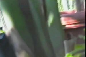 Two classic blond women feeling horny for some act