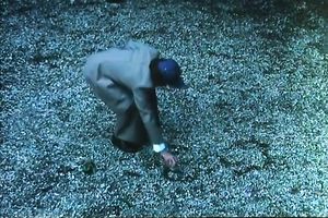 Filthy brunette hair European honey shared by two hairy studs