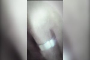 My GF is one skilled blowjobber who prefers doing wicked stuff in her car