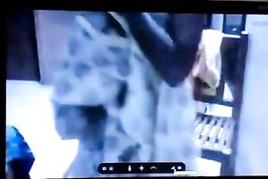 Kinky all exposed cam concupiscent brunette hair nympho flashes her large tits