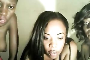 My charming GFs and me lick one another's wet cracks in front of a web camera