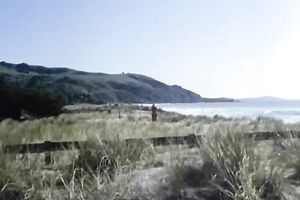 Nice oral job from hot and excited playgirl in her bedroom to her ally