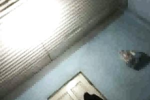 asian amateur homemade swallow and anal