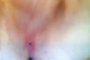 Teen floozy 1st time masturbates in front of the camera