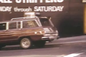 Voluptuous and hot dark brown masturbates with a freaky toy