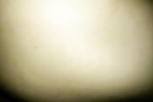 My obese hairy BBC slut takes a ride on my prick in POV video