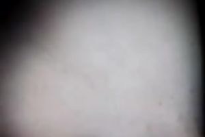 Wet hairless loose bawdy cleft of my older white cheating wife