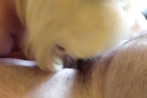 Hungry big beautiful woman skank treats my swollen cock like it is gold