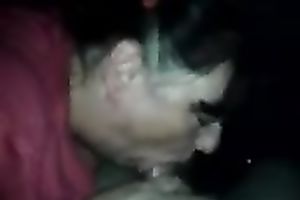 Chubby dark brown milf BBC slut blowing my penis in the night